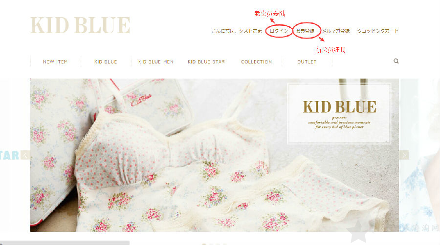 日本内衣品牌Kid Blue官网下单海淘攻略