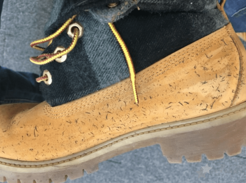 TImberland大黄靴如何清洁 TImberland大黄靴的打理保养方法 TImberland大黄靴如何清洁,TImberland大黄靴保养步骤12